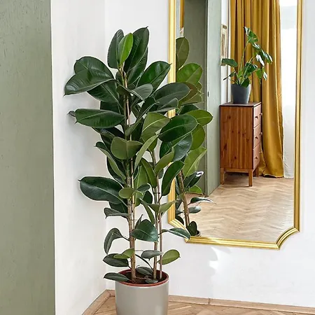 Turnkey I Vintage Terrace Apartment