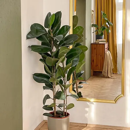 Apartment Turnkey I Vintage Terrace Prague